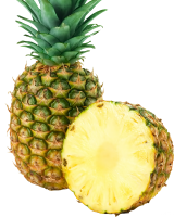 菠萝1