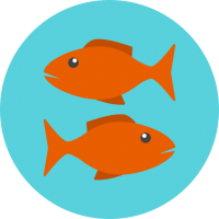 Рыбы PNG