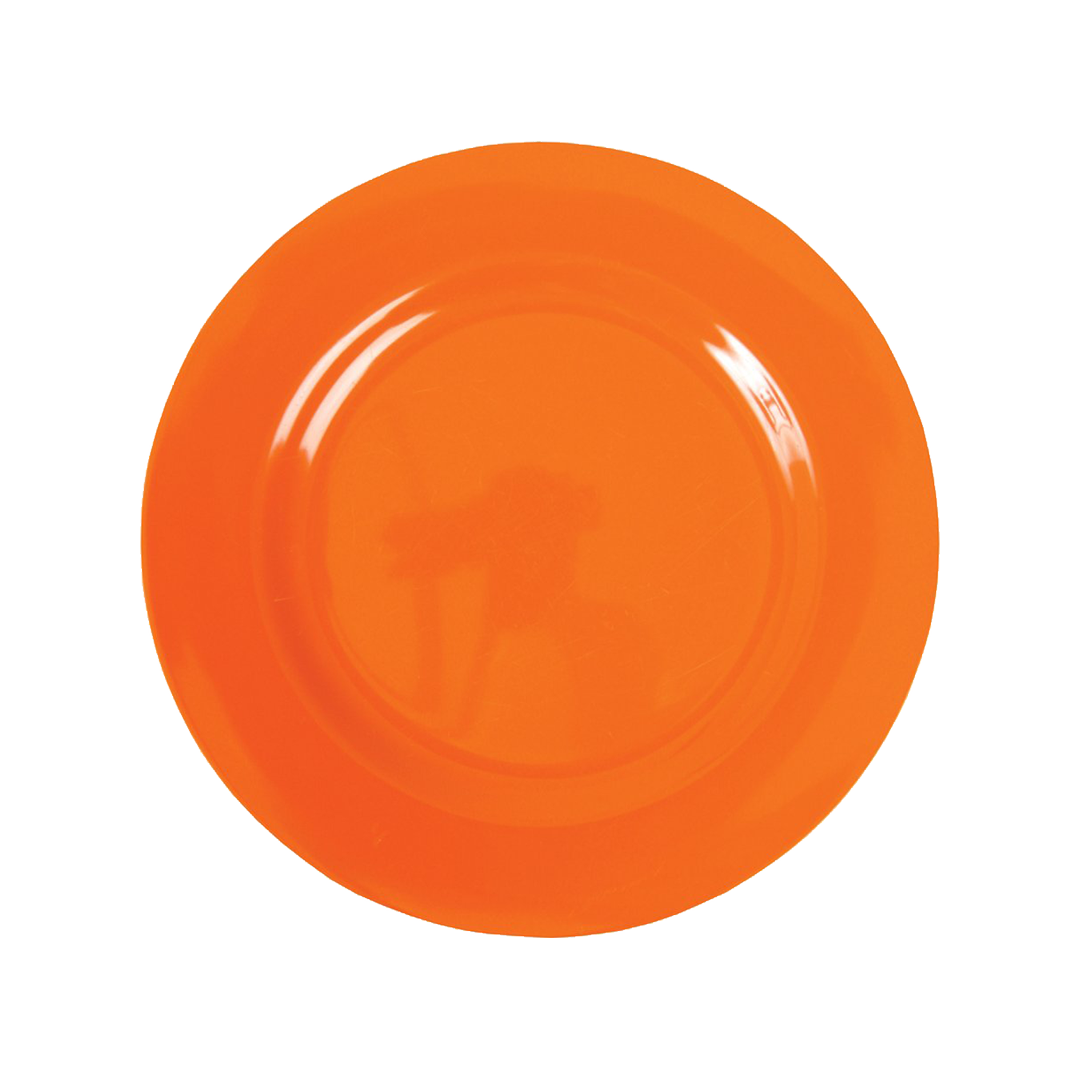 Ornage plate dish PNG image