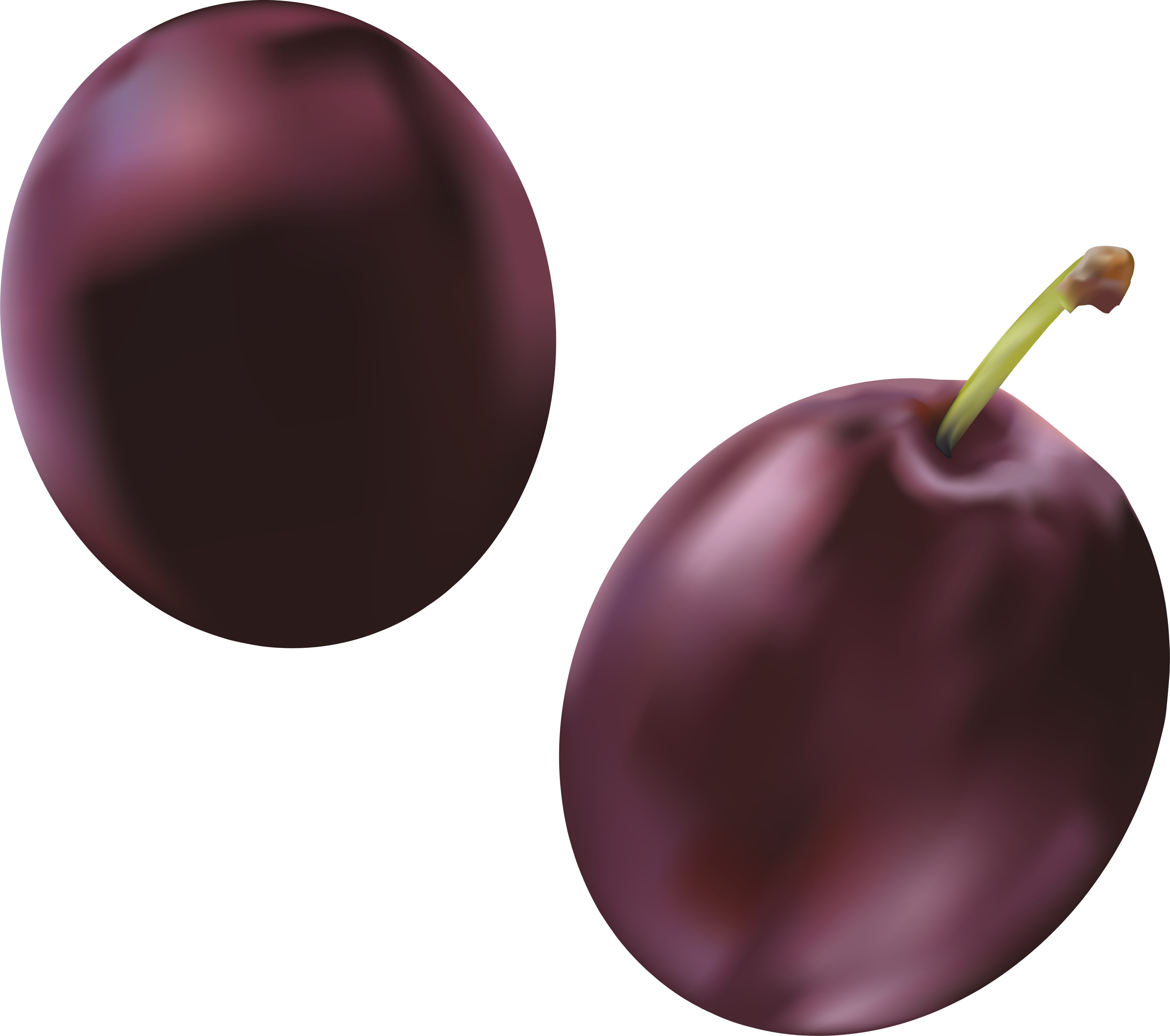 plum