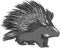 Porcupine PNG