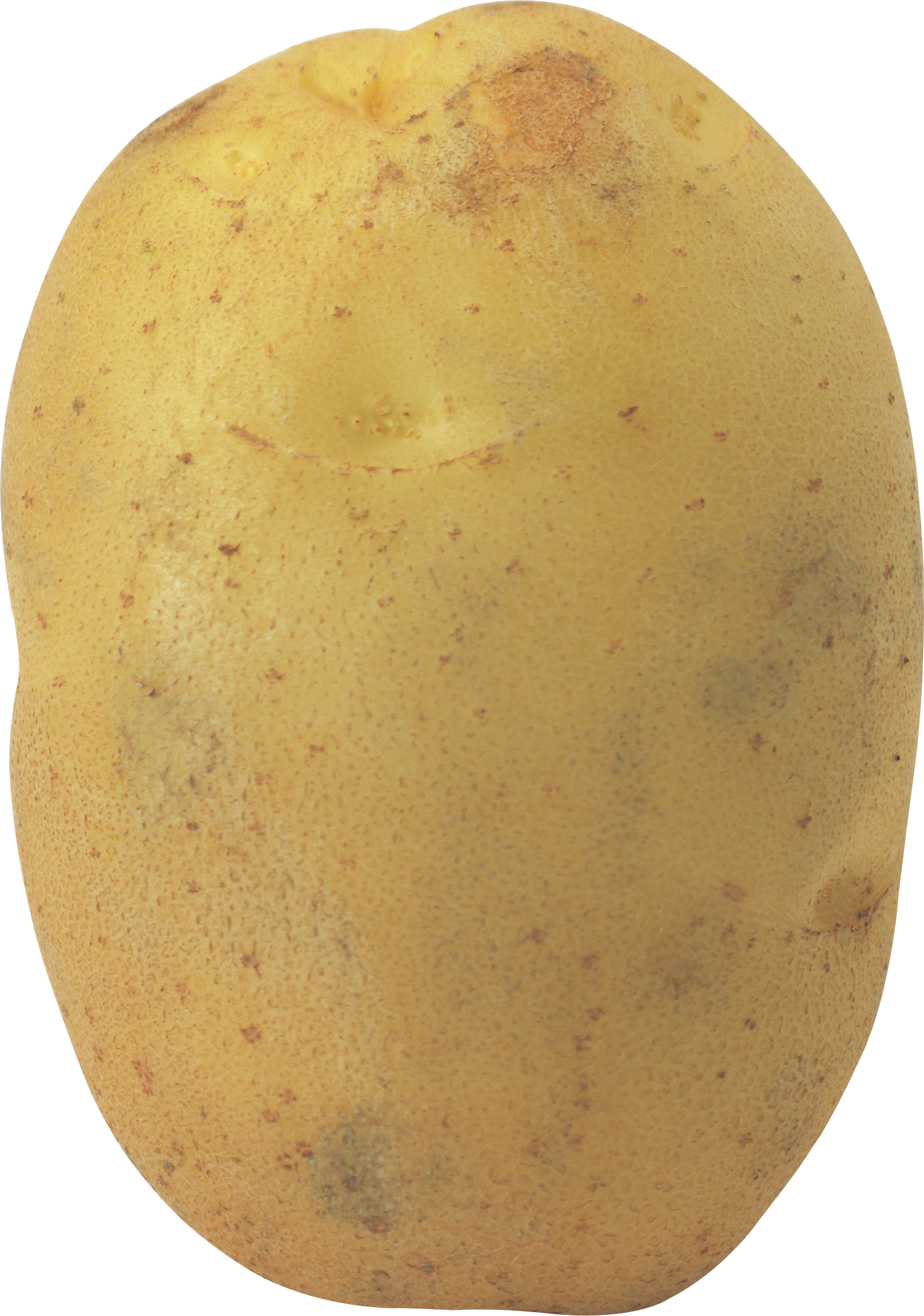 Large potato PNG image