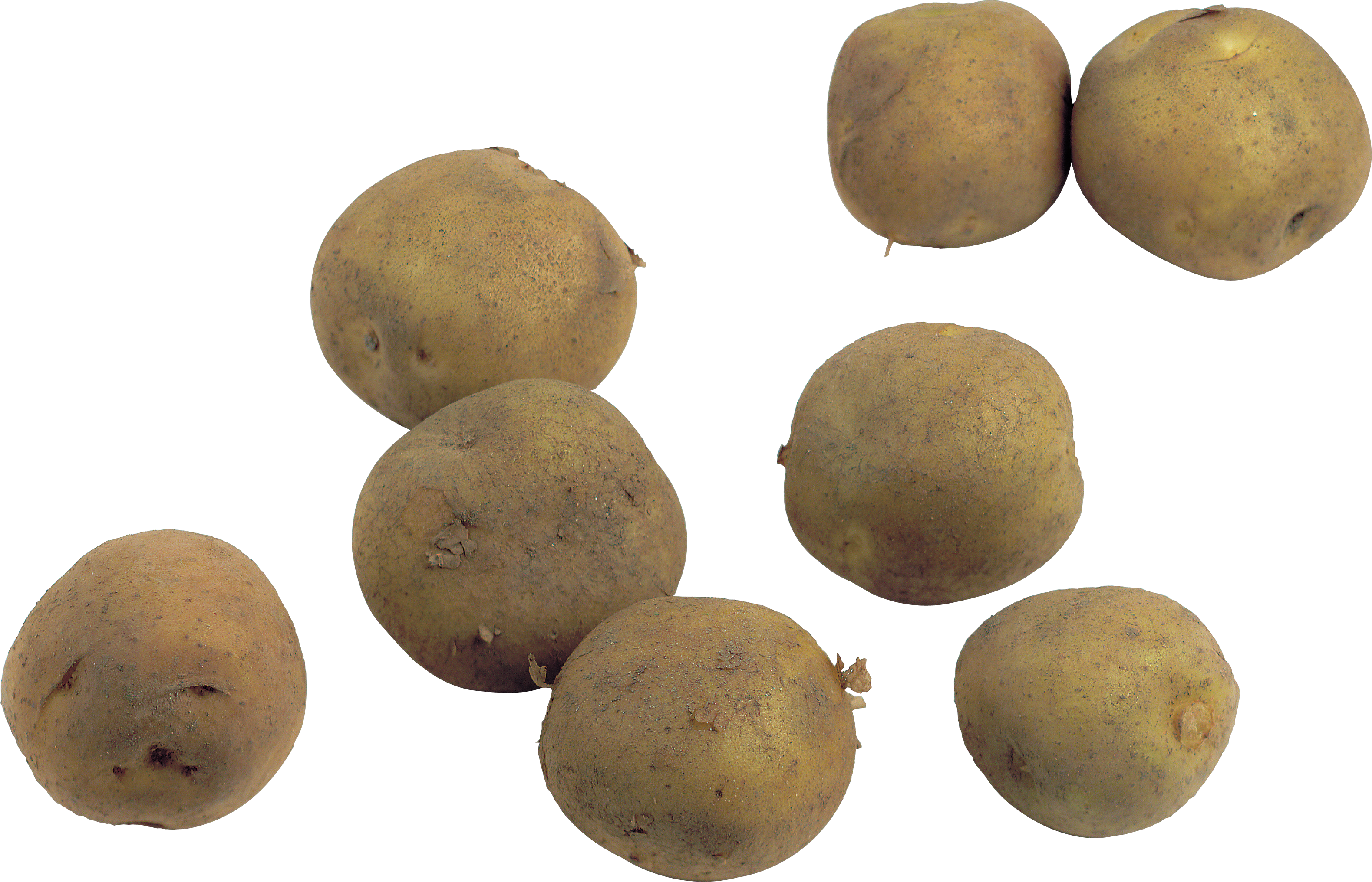 Potatoes PNG transparent background