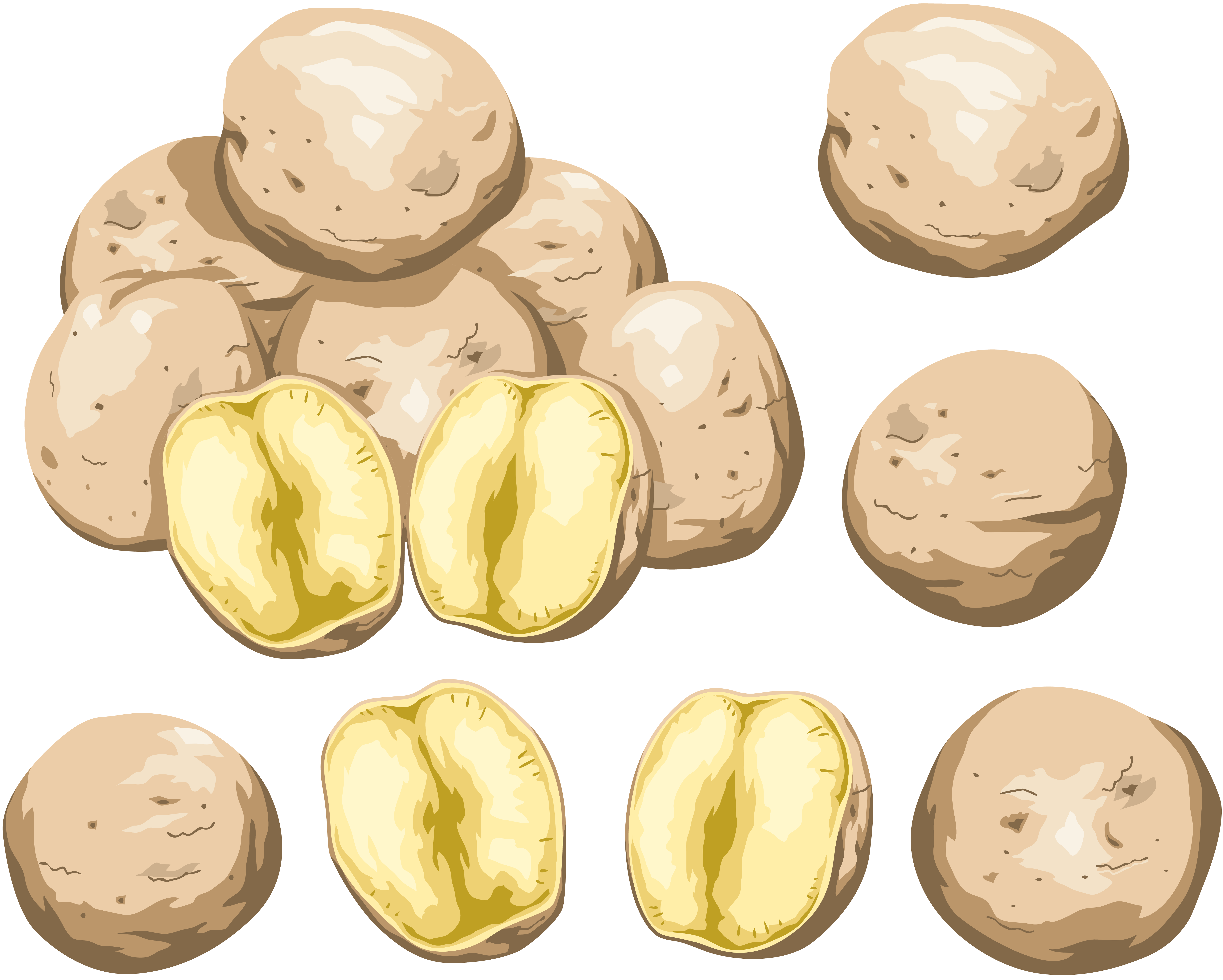 Cutted potatoes PNG