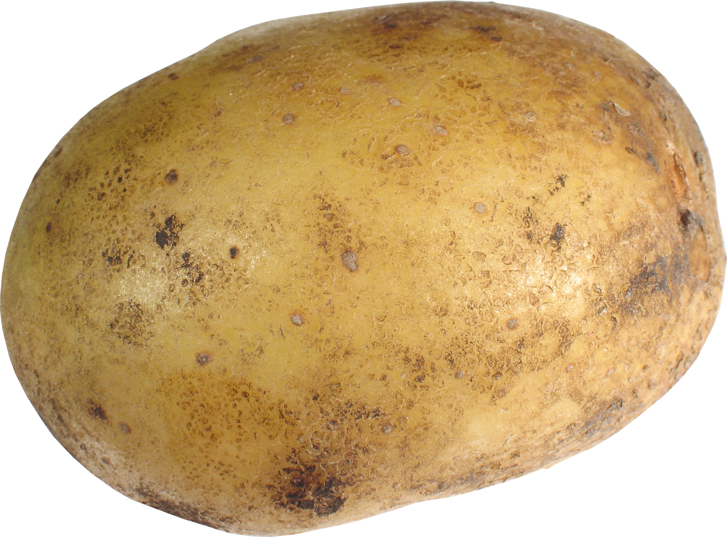 Big potato PNG image