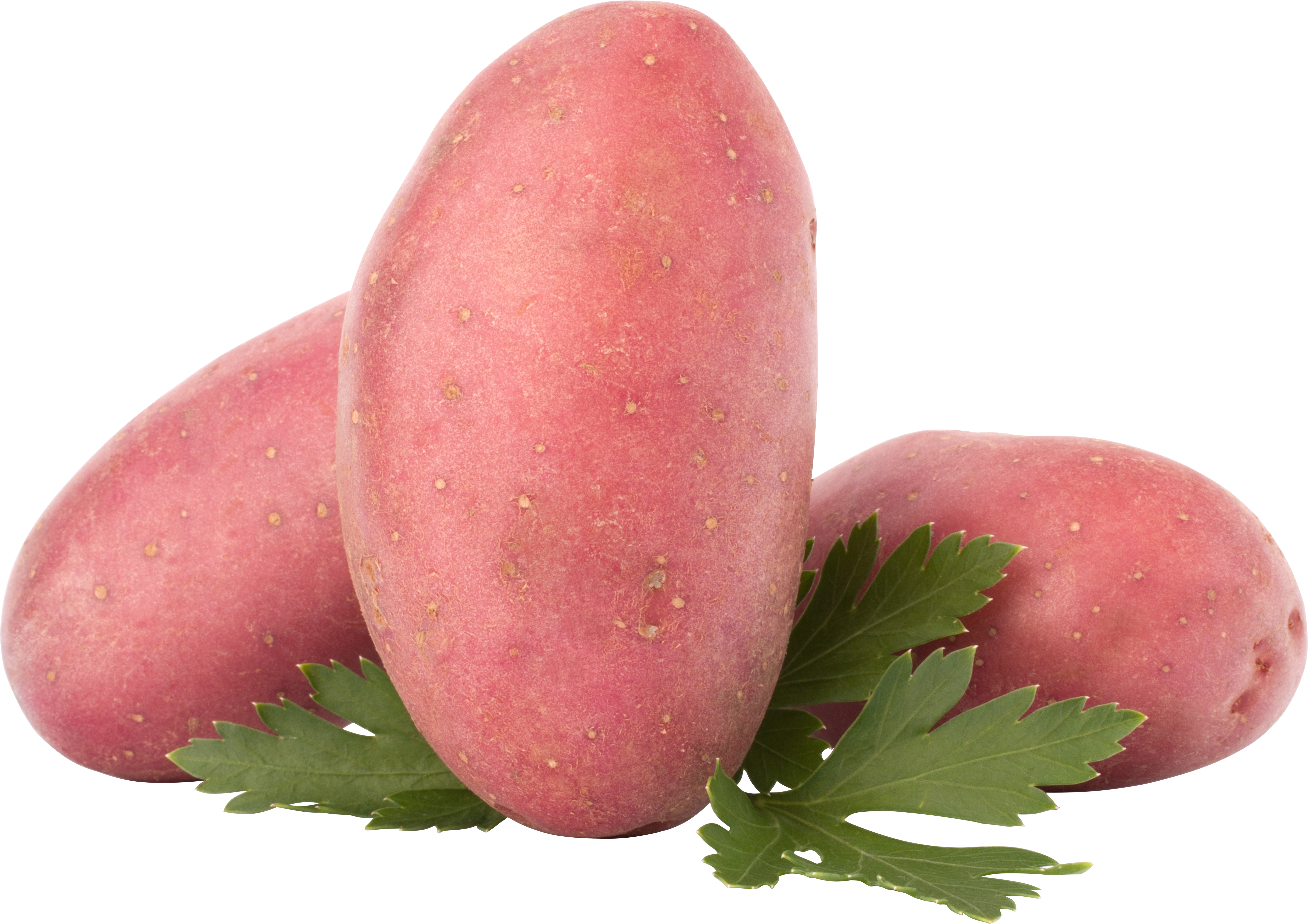 Red potatoes PNG