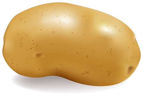 Potato PNG image, pictures, free download