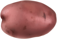 red potato PNG image