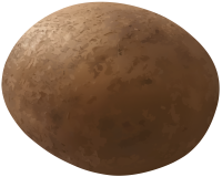 brown potato PNG image
