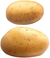 fresh potatoes PNG picture