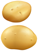 photo two potatoes PNG