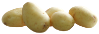 several potatoes PNG image