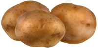 three Potatoes PNG