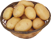 Potato png images, pictures, free download