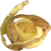 Cutted potato PNG image