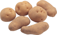 Potato png images