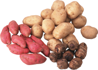 Картошка PNG