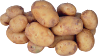 Many potatoes PNG image