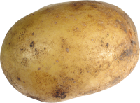 Big potato PNG image