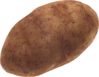 Potato PNG image without background