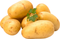 Several potatoes PNG