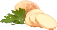 Sliced potato PNG