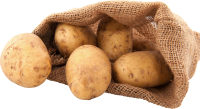 Potatoes PNG picture