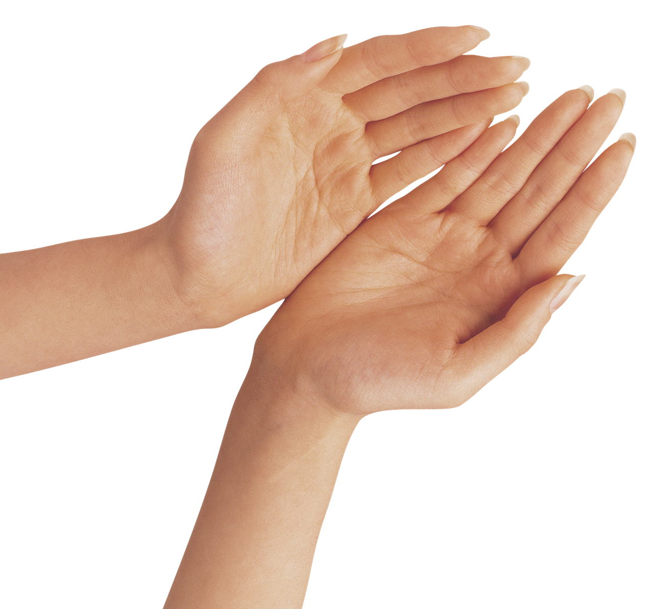 Молящие руки картинка