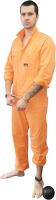 Заключённый PNG