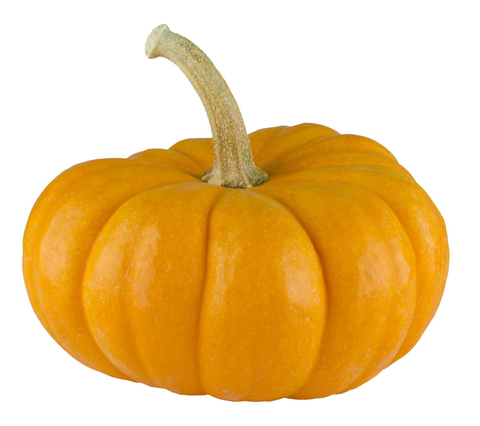 Pumpkin PNG