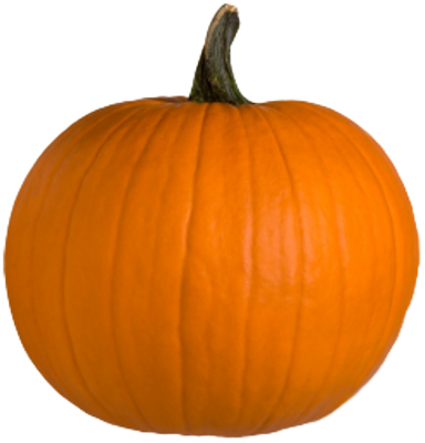 Pumpkin PNG image