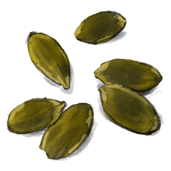 Pumpkin seeds PNG