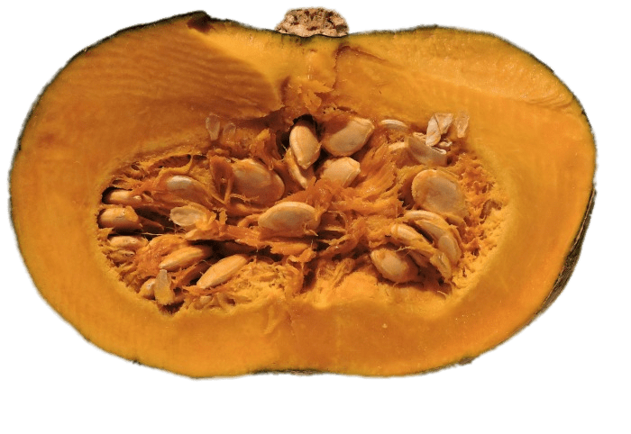 Pumpkin Seeds PNG
