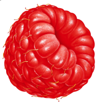 Rraspberry PNG image
