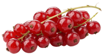 Redcurrant PNG