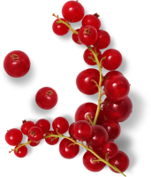Redcurrant PNG