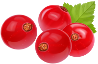 Redcurrant PNG