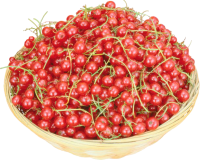 Redcurrant PNG