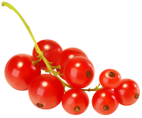 Redcurrant PNG