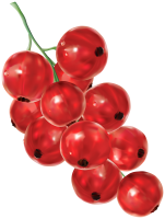 Redcurrant PNG