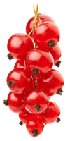Redcurrant PNG