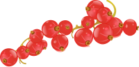 Redcurrant PNG