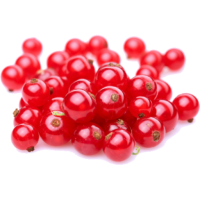 Redcurrant PNG