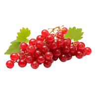 Redcurrant PNG