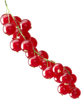 Redcurrant PNG