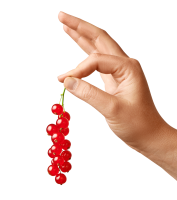 Redcurrant PNG
