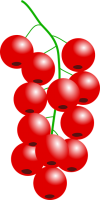 Redcurrant PNG