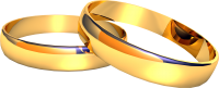 Обручальные кольца PNG