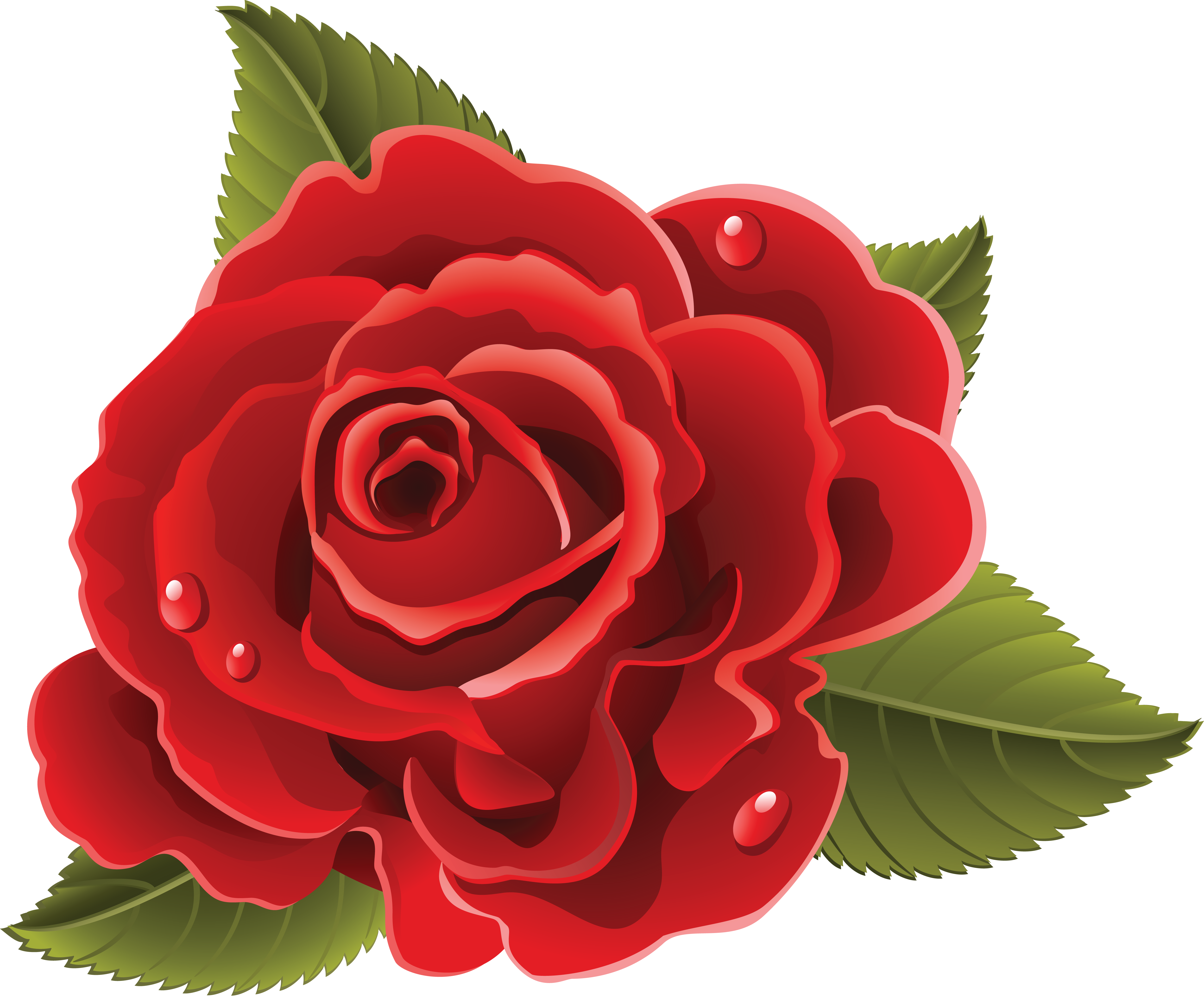 Free Rose Png Download Free Rose Png Png Images Free Cliparts On Images