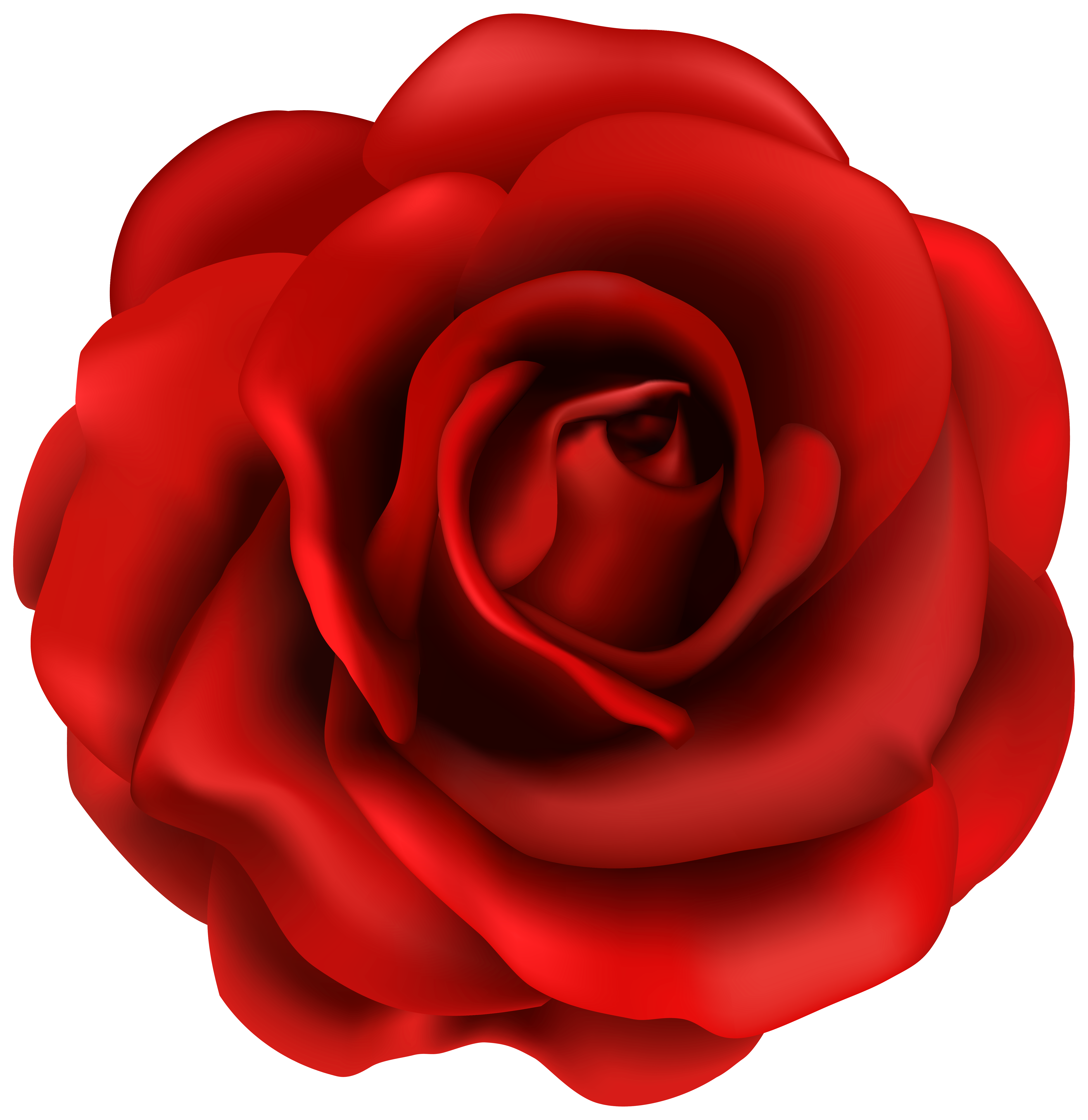 Rosa PNG